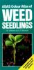 Weed_Seedlings