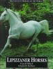 Lipizzaner_horses