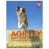 Agility_right_from_the_start