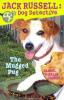 Jack_Russell__dog_detective