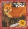 The_wonder_of_foxes