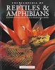 Encyclopedia_of_reptiles___amphibians