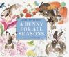 A_bunny_for_seasons