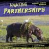 Amazing_partnerships
