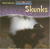 Skunks_are_night_animals