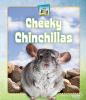 Cheeky_chinchillas