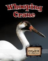 Whooping_cranes